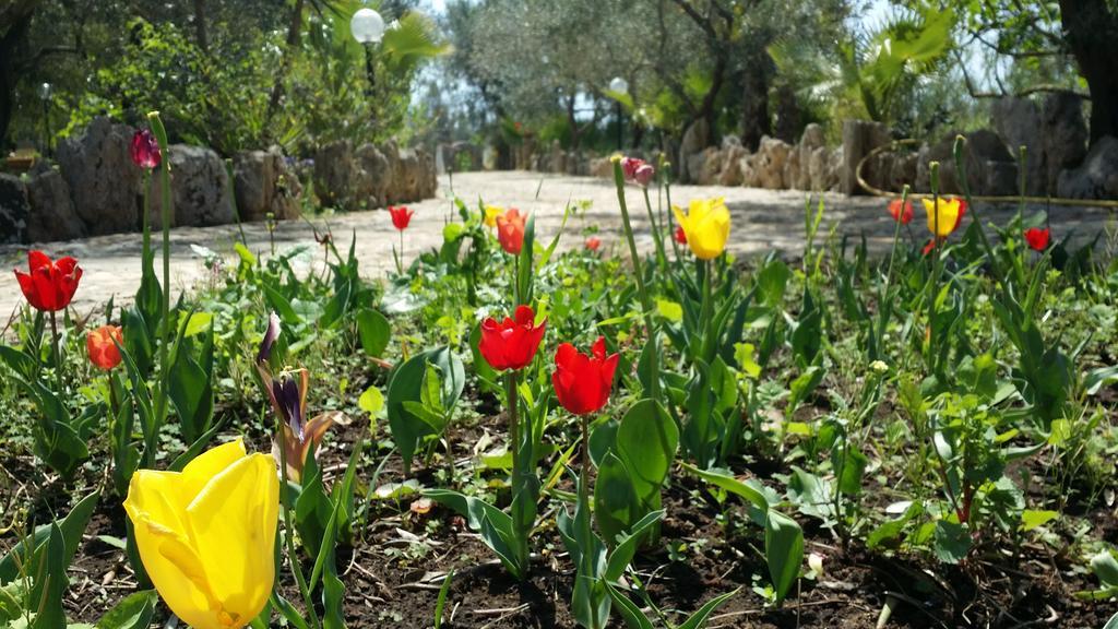 Agriturismo Tenuta La Siesta Villa Gallipoli Eksteriør bilde