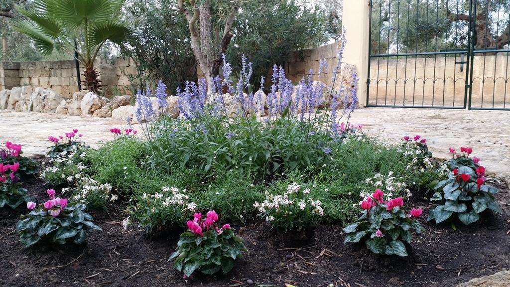 Agriturismo Tenuta La Siesta Villa Gallipoli Eksteriør bilde