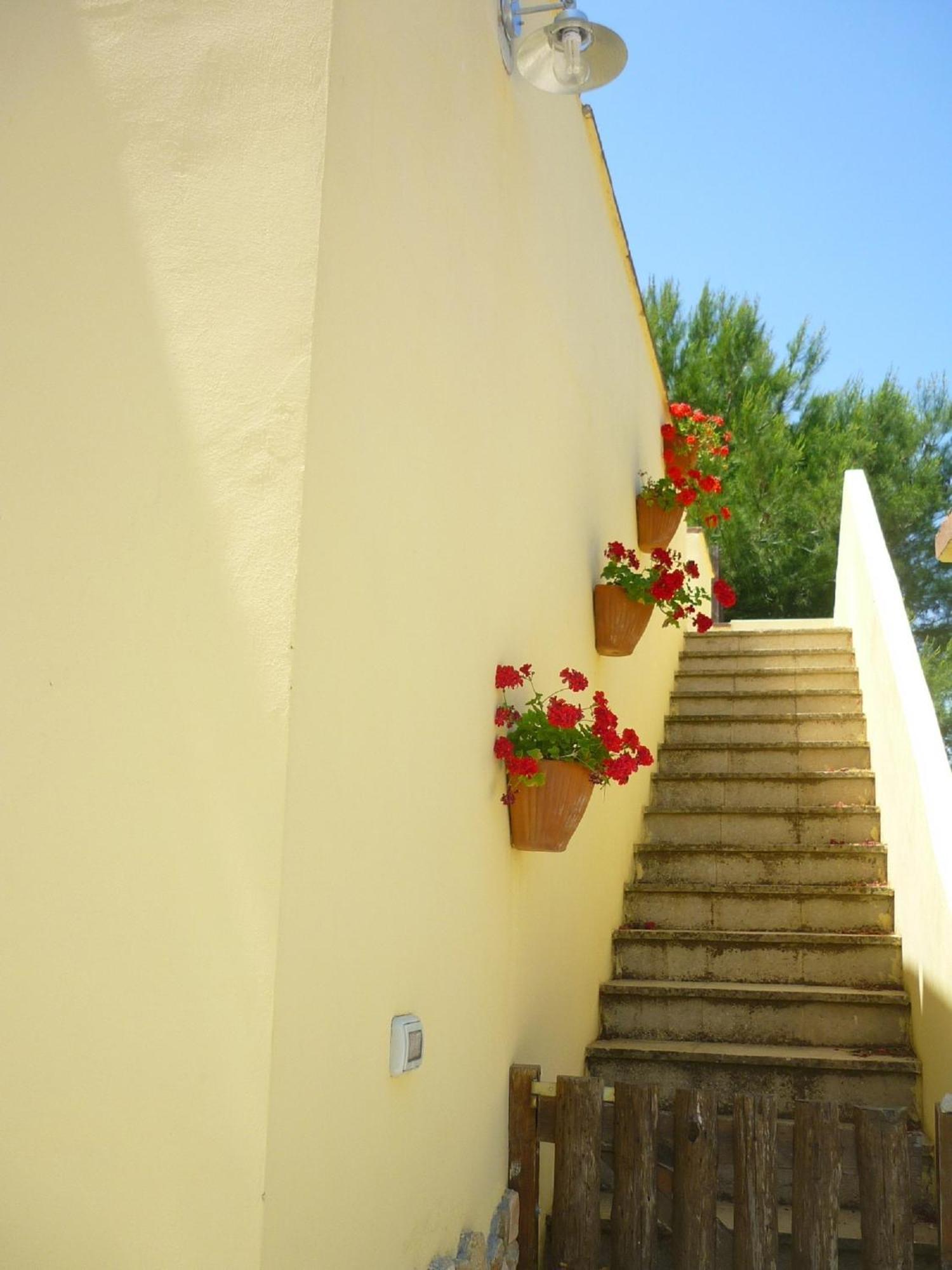 Agriturismo Tenuta La Siesta Gallipoli Eksteriør bilde