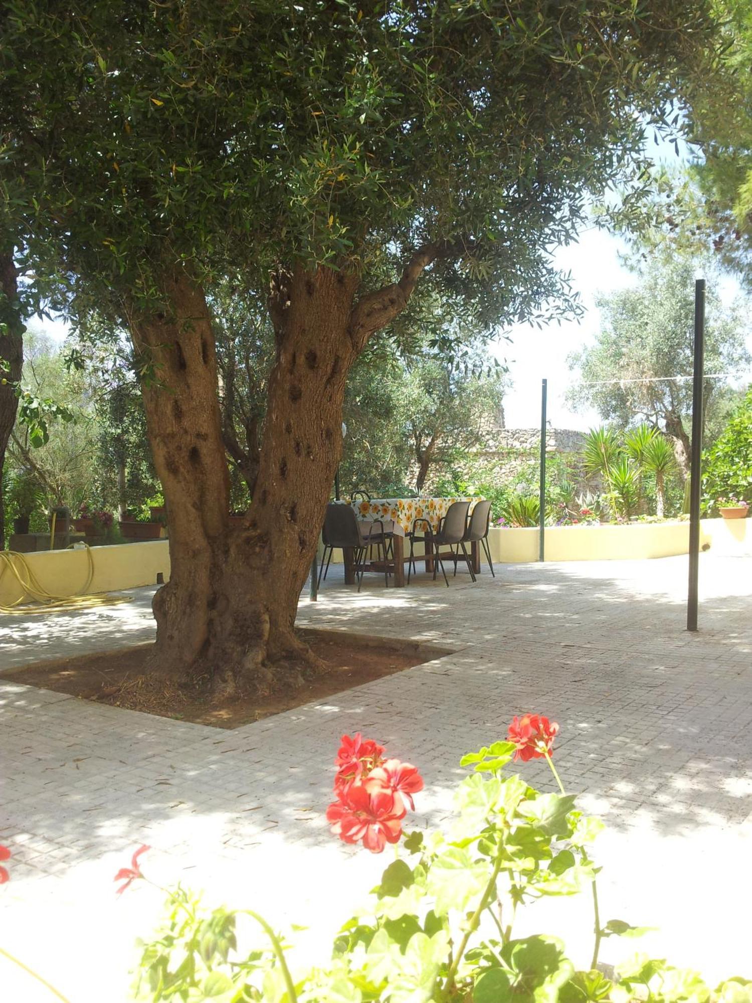 Agriturismo Tenuta La Siesta Gallipoli Eksteriør bilde