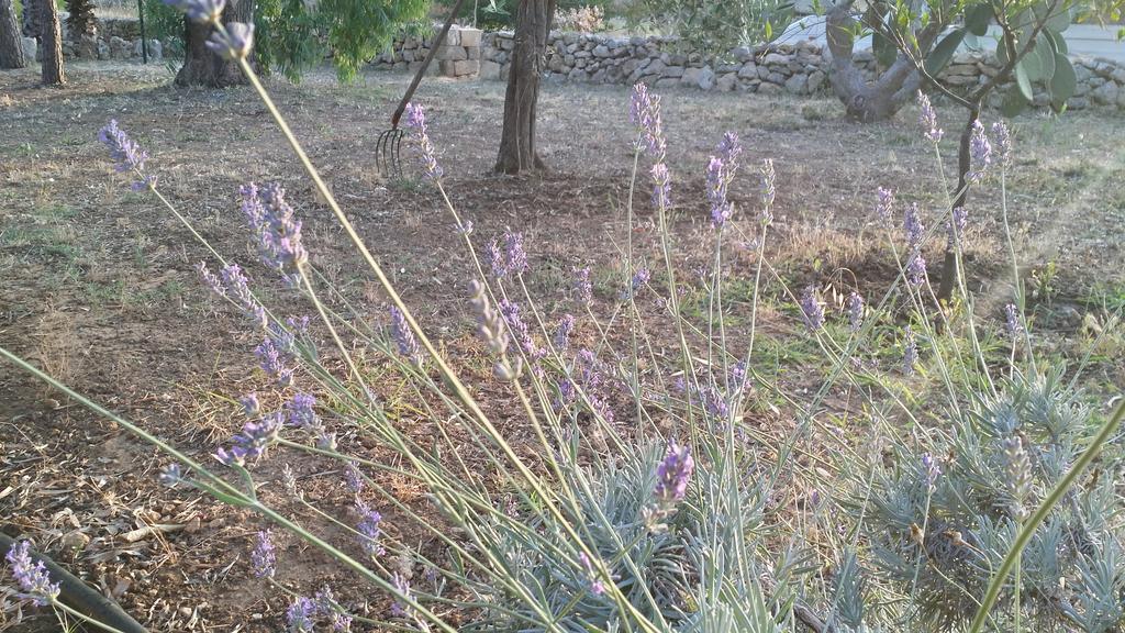 Agriturismo Tenuta La Siesta Villa Gallipoli Eksteriør bilde