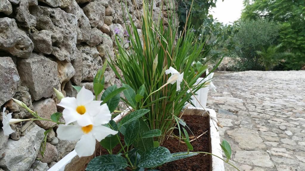 Agriturismo Tenuta La Siesta Villa Gallipoli Eksteriør bilde