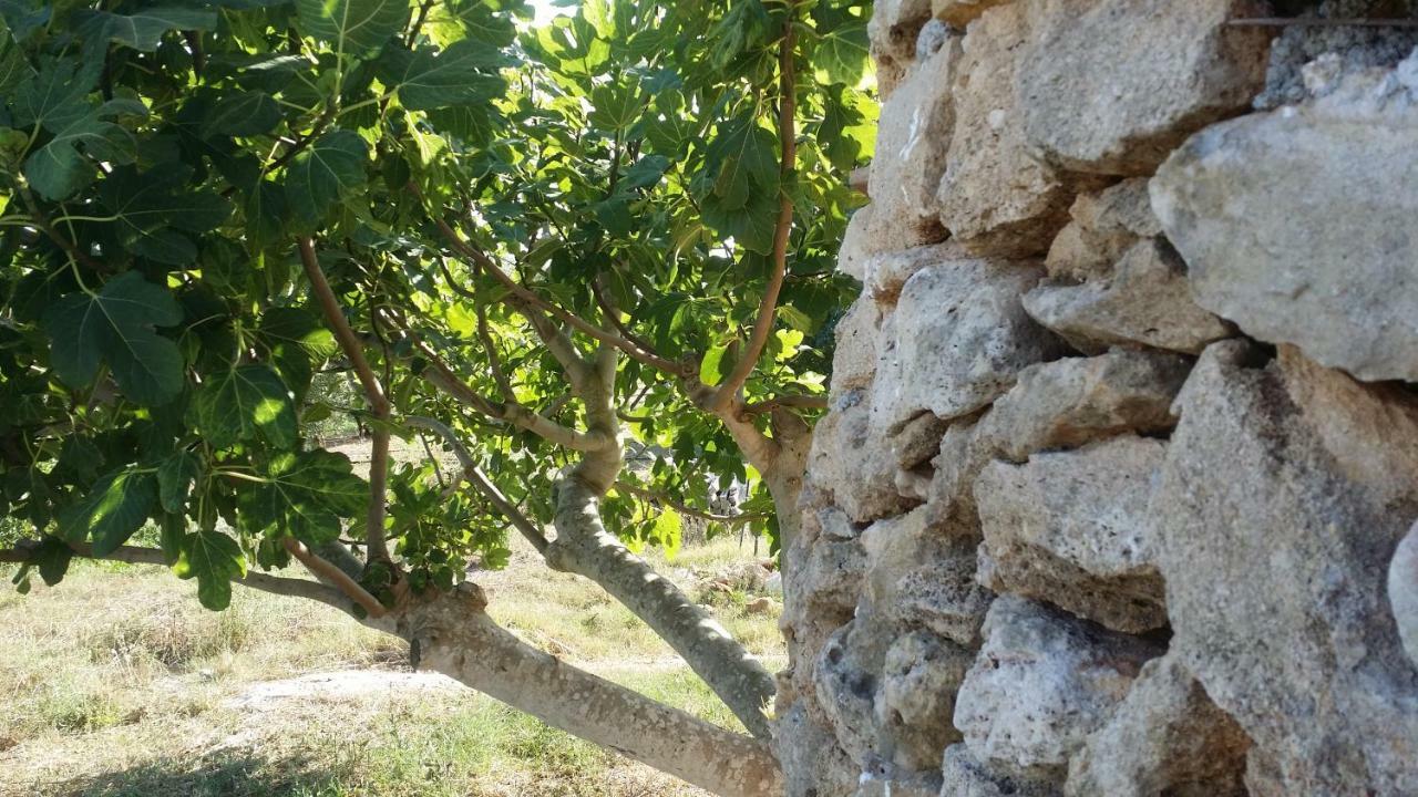 Agriturismo Tenuta La Siesta Gallipoli Eksteriør bilde