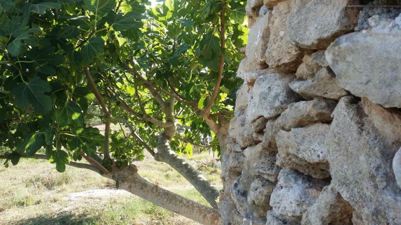 Agriturismo Tenuta La Siesta Villa Gallipoli Eksteriør bilde