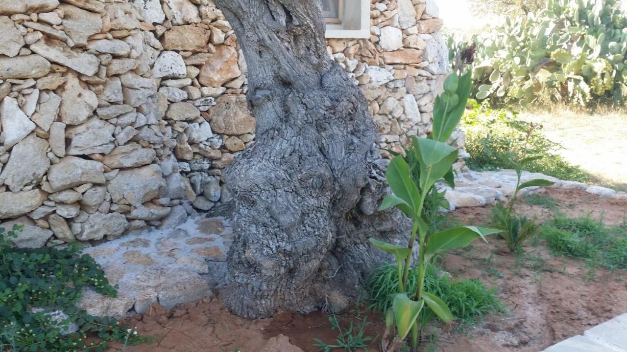 Agriturismo Tenuta La Siesta Villa Gallipoli Eksteriør bilde